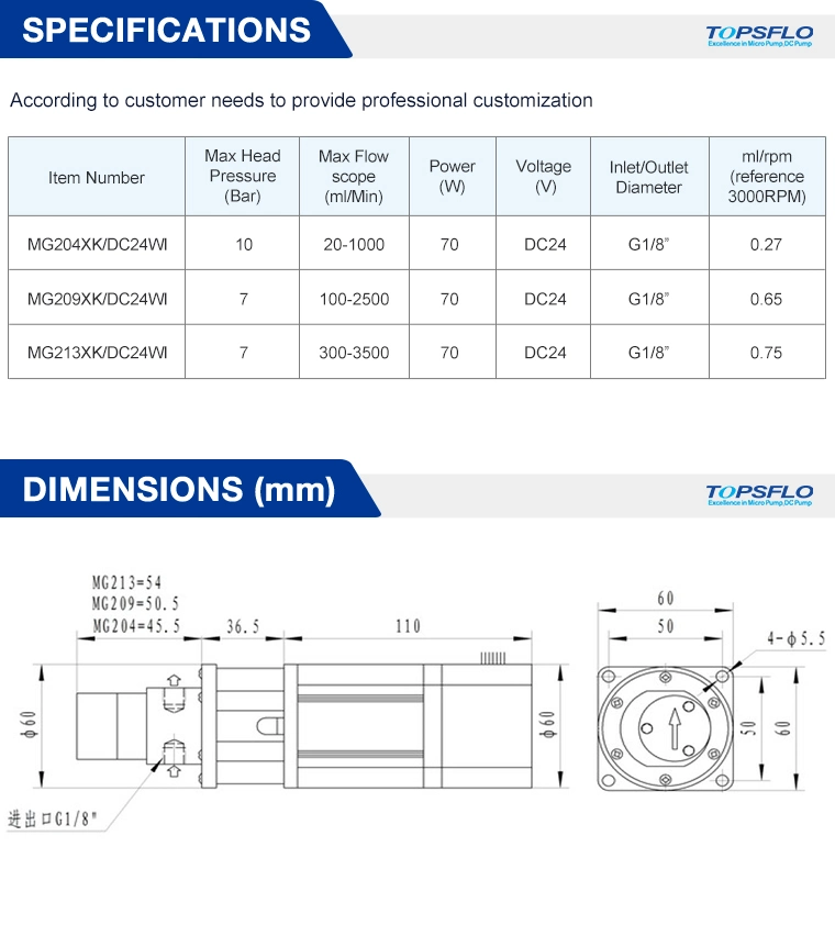 Magnetic Drive Micro Gear Pump DC Motor