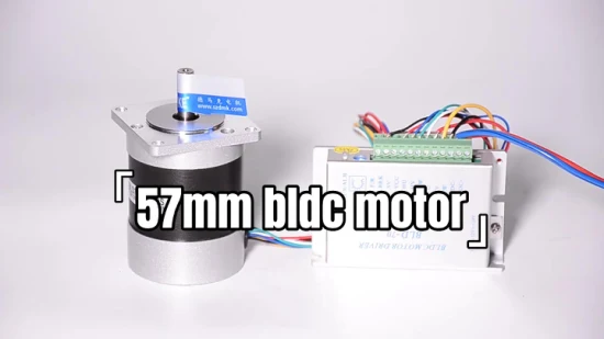 Motore elettrico senza spazzole motore BLDC ad alta velocità da 57 mm 60 mm 24 V 4000 giri/min senza vibrazioni per utensili elettrici e robot