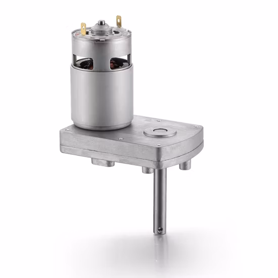 12V 24V Rapporto di trasmissione a coppia elevata 10.4W 31RPM Microspazzola elettrica Mini motoriduttore DC con ruote per robot/distributore automatico
