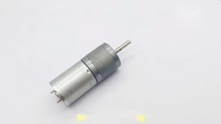 Micromotore a bassa velocità da 25 mm 12 V CC per spremiagrumi